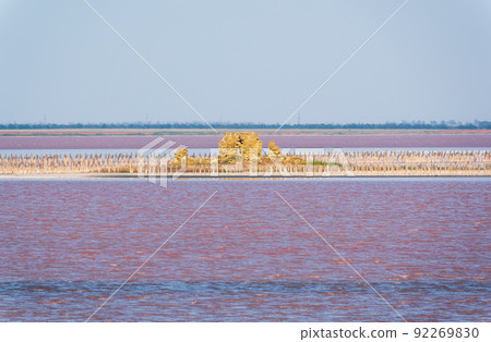A beautiful salt lake with pink water. A beautiful salt lake with pink water. 92269830