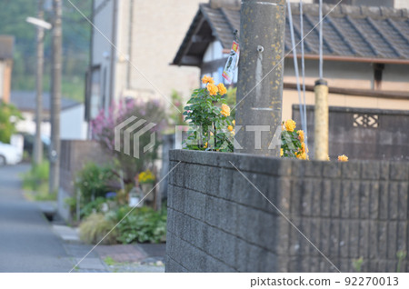 農村小巷 農村小巷 92270013