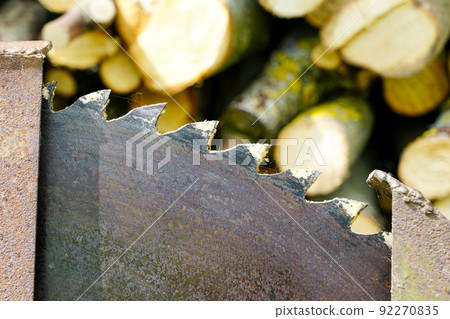 A fragment of a old circular saw blade with large teeth and sawn wood in a blurred background 92270835