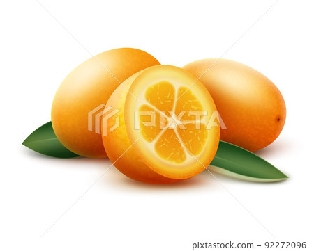 Orange kumquat fruits and green leaves 92272096
