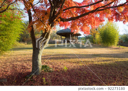 順天南岸邑城石碑公園的紅葉 92273180