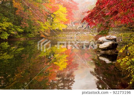 Autumn leaves around Dosolcheon Stream at Baekyangsa Temple in Jangseong 92273196