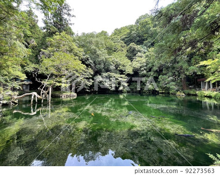 Izuruhara Benten Pond, a natural monument designated by the prefecture, selected as one of the 100 Selected Waters Izuruhara Benten Pond, a natural monument designated by the prefecture, selected as one of the 100 Selected Waters 92273563
