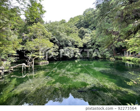 Izuruhara Bentenchi, a natural monument designated by the prefecture, selected as one of the 100 Selected Waters 92273564