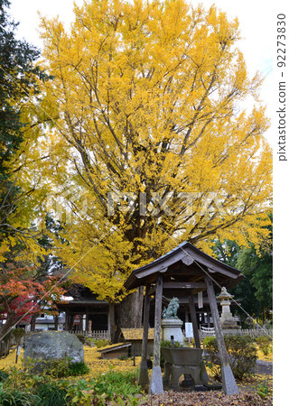 I went to Satakedera # 11 I went to Satakedera # 11 92273830