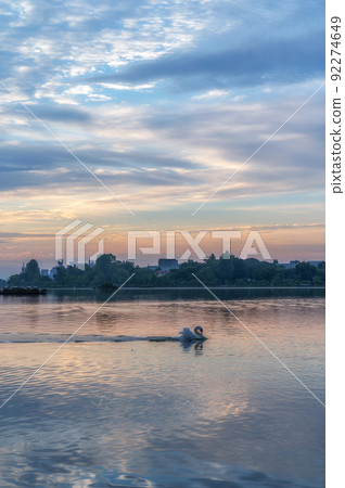 Mito City, Ibaraki Prefecture, Senba Lake dyed by the sunrise Mito City, Ibaraki Prefecture, Senba Lake dyed by the sunrise 92274649