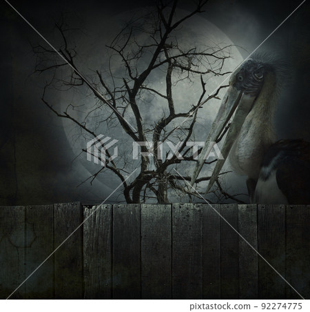 Halloween mystery concept Halloween mystery concept 92274775