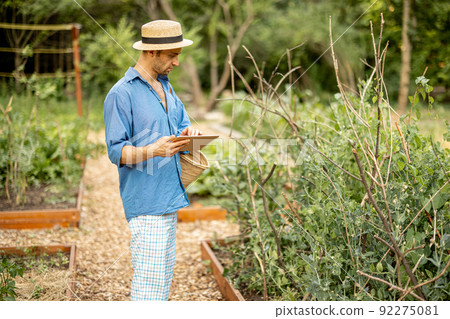 Farmer with digital tablet work at vegetable garden Farmer with digital tablet work at vegetable garden 92275081