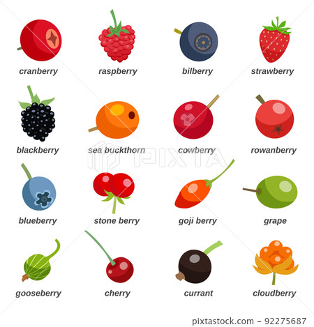 Berries Colored Icons Set With Inscription Berries Colored Icons Set With Inscription 92275687