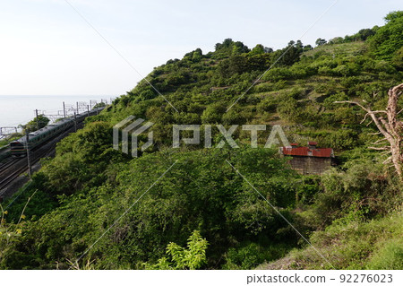 石橋山戰場 92276023