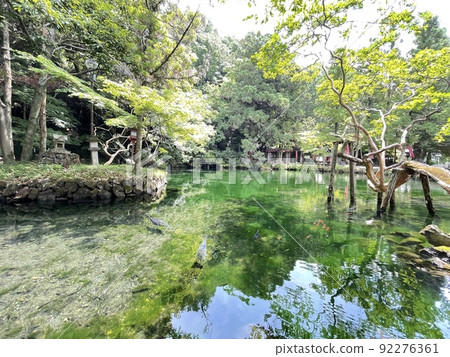 池底也是圓形的,透明度高的出原弁天池, 池底也是圓形的,透明度高的出原弁天池, 92276361