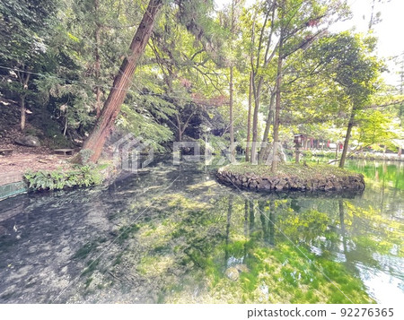 The bottom of the pond is also round, Izuruhara Benten Pond with high transparency, 92276365