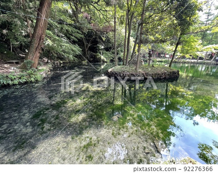The bottom of the pond is also round, Izuruhara Benten Pond with high transparency, 92276366