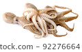 fresh octopus an isolated on a white background 92276664