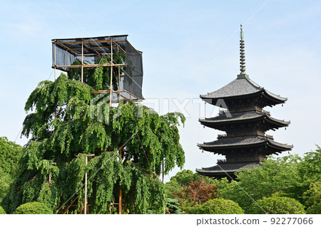 Kyoto · Toji 92277066