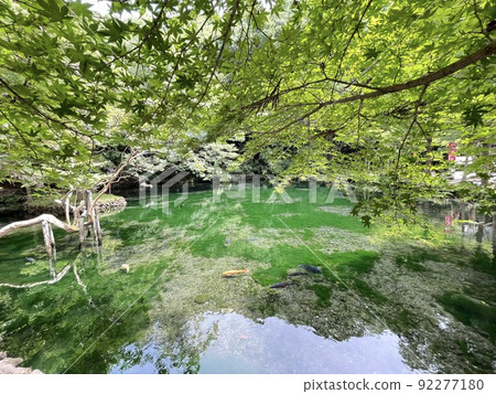 Highly transparent spring water pond Izuruhara Benten Pond, a natural monument designated by Tochigi Prefecture 92277180