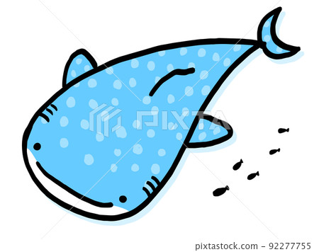 可愛的鯨鯊和小魚/手繪插畫素材 92277755