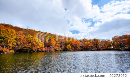 千人池(笹嶺高原)的紅葉 千人池(笹嶺高原)的紅葉 92278952