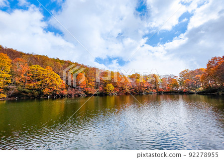 Autumn leaves of Sennin Pond (Sasagamine Plateau) Autumn leaves of Sennin Pond (Sasagamine Plateau) 92278955