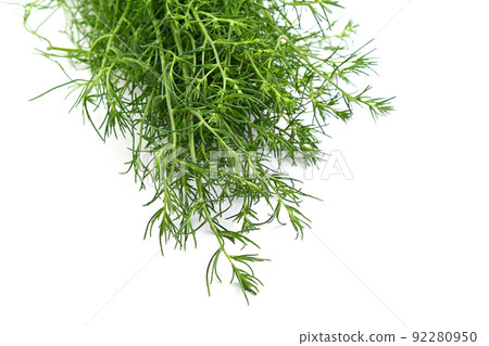 Okikiji Okikiji 92280950