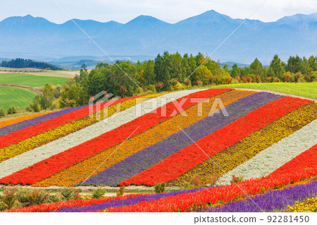 The vast nature of Biei, Hokkaido "Shikisai no Oka" The vast nature of Biei, Hokkaido "Shikisai no Oka" 92281450