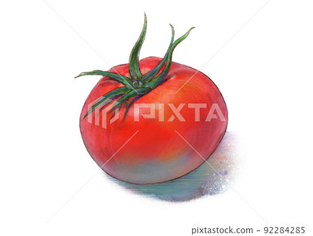 Tomato watercolor illustration 92284285