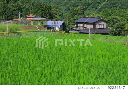 夏日原野風光 奧恩田園風光 92284847