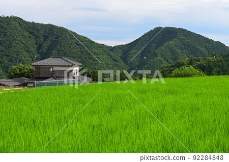 夏日原景青根里山 92284848