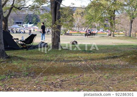 有很多樹的公園 有很多樹的公園 92286301