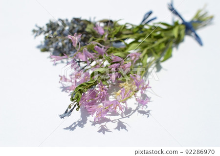 Bouquet of pastel dried flowers Bouquet of pastel dried flowers 92286970