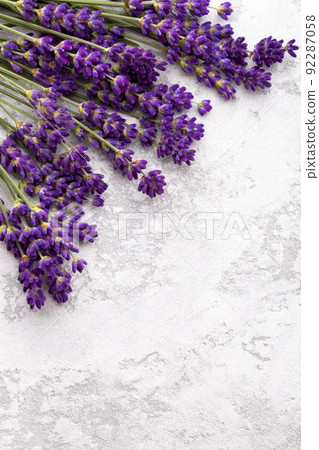Lavender on grey stone background 92287058