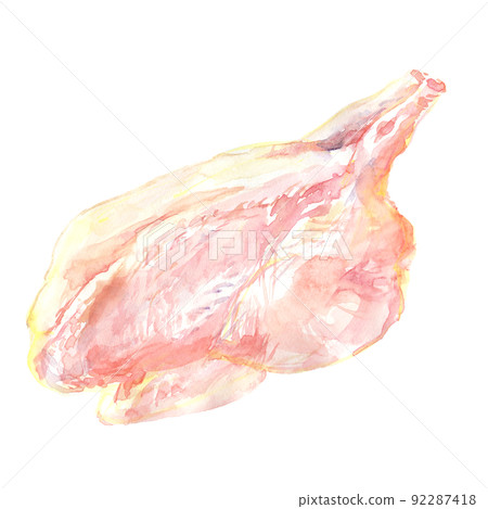 用水彩畫的整隻雞的插圖 用水彩畫的整隻雞的插圖 92287418