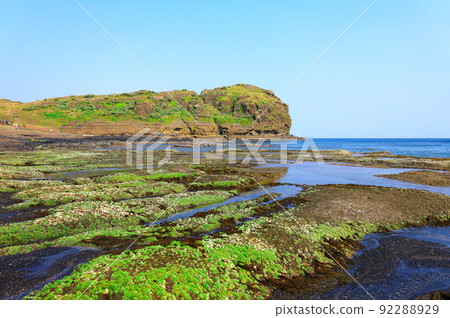 Yongmeori Coast, Coast, Dragon, Beach, Sandstone Formation, Cliff, Cliff, Sanbangsan, Mussels, Sea, Cliff, Cliff, Strange Rock, 92288929