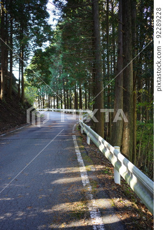 Mountain trail of Gokanoshō, Yatsushiro City, Kumamoto Prefecture 92289228