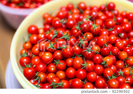 Petit tomatoes Petit tomatoes 92290302