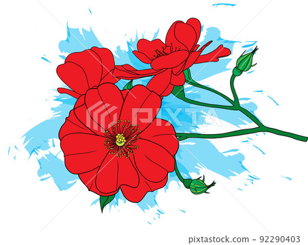 Abstract red rose flower are blooming with color splashed background. Abstract red rose flower are blooming with color splashed background. 92290403