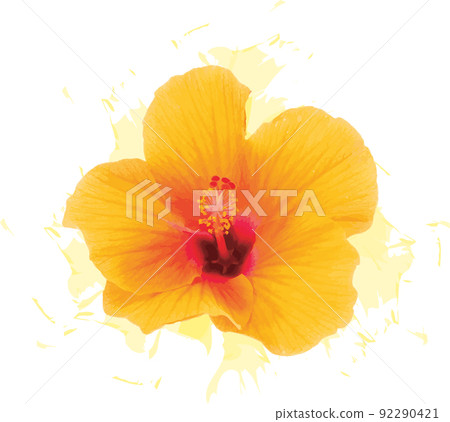 Abstract Deep yellow Chinese Rose flower with color splashed on white background. 92290421