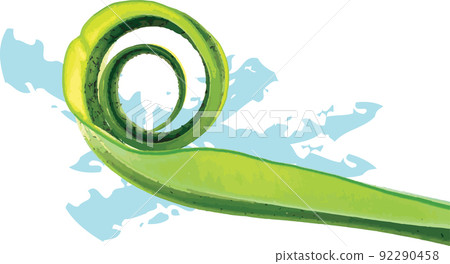 Abstract leaves of the Bird's nest fern on white background. Abstract leaves of the Bird's nest fern on white background. 92290458