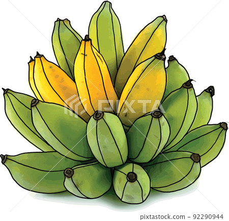 Abstract of rip and raw banana isolated on white background. Abstract of rip and raw banana isolated on white background. 92290944