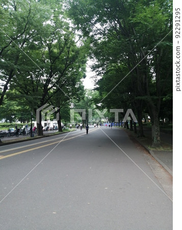 Komazawa Park running course 92291295