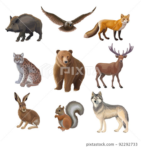 Cartoon Forest Animals Set 92292733