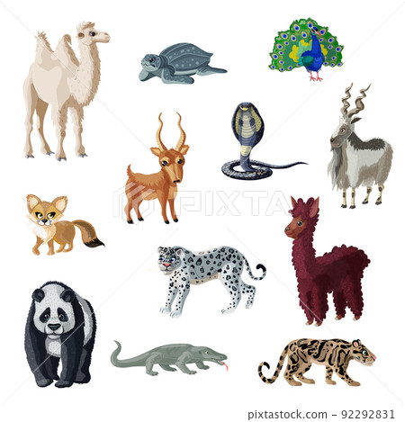 Cartoon Colorful Asian Animals Collection Cartoon Colorful Asian Animals Collection 92292831