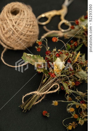 Bunch of dried wild strawberry twigs with berries. Herbal medicine remedy 92293360