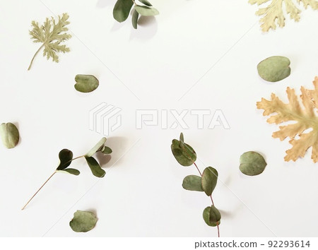 Leaf studded 92293614