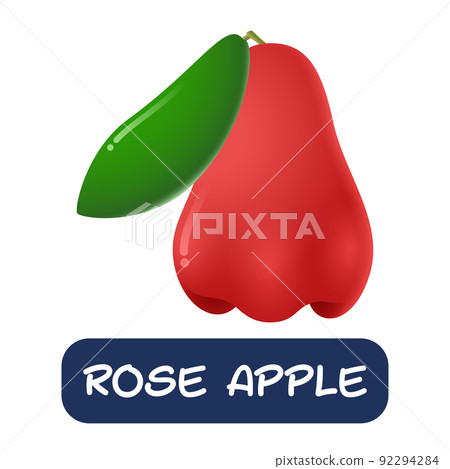 cartoon rose apple fruit vector isolated on white background cartoon rose apple fruit vector isolated on white background 92294284