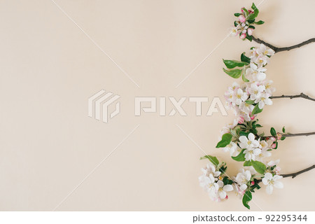 Apple spring flowers on a beige background. Flat lay, top view with copy space 92295344