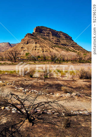Forest fire in desert with black burned trees and sandy mountains Forest fire in desert with black burned trees and sandy mountains 92296159