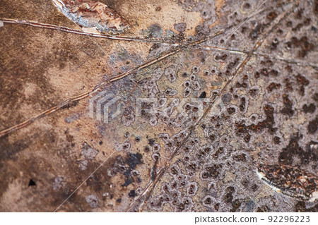Burned and scratched hard drive data disk macro detail 92296223