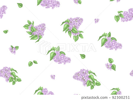 Seamless background with lilac flowers. Vector illustration 92300251