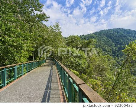 Taiwan Sun Moon Lake Promenade surrounded by greenery 92300483